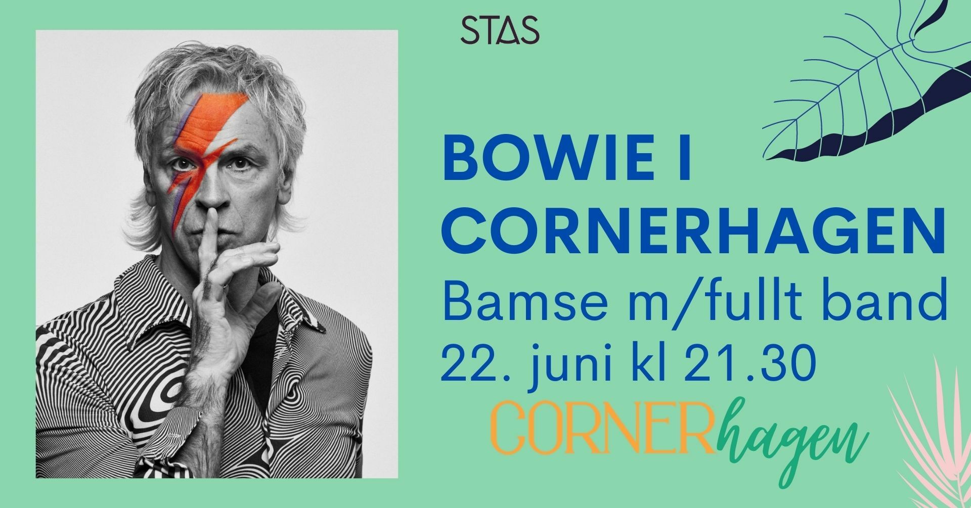 Bowie i Cornerhagen  - Stas 